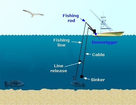 Sea angling - Hookline